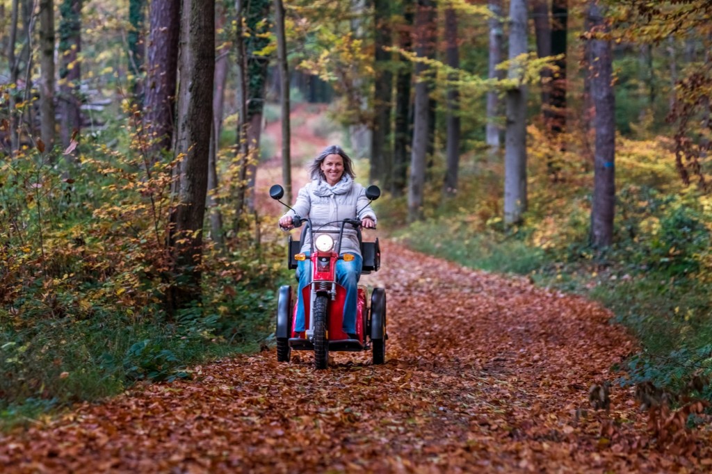 DX2 das Elektromobil für unterwegs im Wald oder auf der Strasse